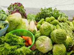Ảnh bìa bài viết 793149