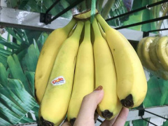 Ảnh bìa bài viết 793099