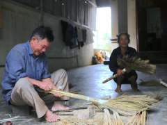 Ảnh bìa bài viết 793577