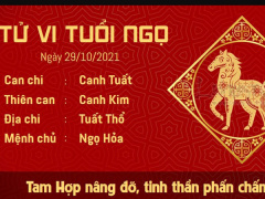 Ảnh bìa bài viết 793695
