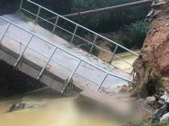 Ảnh bìa bài viết 794010