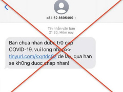 Ảnh bìa bài viết 794033
