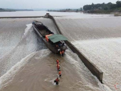 Ảnh bìa bài viết 794103