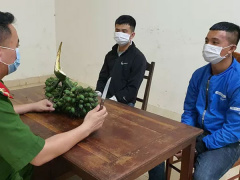 Ảnh bìa bài viết 794153