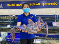 Ảnh bìa bài viết 794557