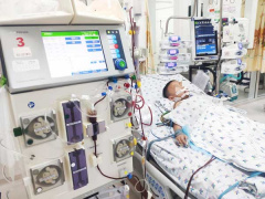 Ảnh bìa bài viết 794480