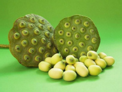 Ảnh bìa bài viết 794714