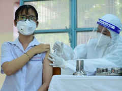 Ảnh bìa bài viết 795204