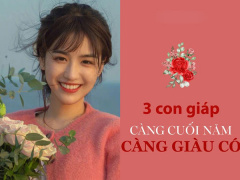 Ảnh bìa bài viết 795453