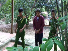 Ảnh bìa bài viết 795420