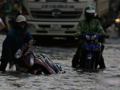 Ảnh bìa bài viết 795351