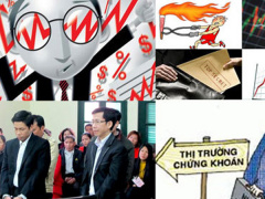 Ảnh bìa bài viết 795531