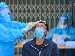 Ảnh bìa bài viết 795501