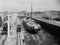Ảnh bìa bài viết 795555