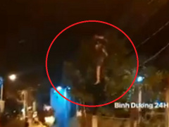 Ảnh bìa bài viết 795587