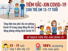 Ảnh bìa bài viết 795714