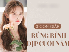 Ảnh bìa bài viết 796014