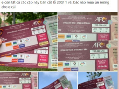 Ảnh bìa bài viết 795984