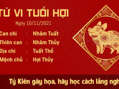 Ảnh bìa bài viết 795902