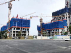 Ảnh bìa bài viết 796022