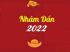 Ảnh bìa bài viết 796223