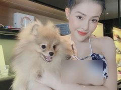 Ảnh bìa bài viết 796334