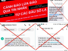 Ảnh bìa bài viết 796833