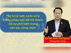 Ảnh bìa bài viết 796754