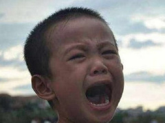 Ảnh bìa bài viết 796695