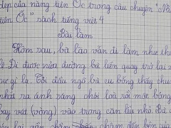 Ảnh bìa bài viết 796810