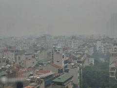 Ảnh bìa bài viết 797010