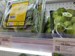 Ảnh bìa bài viết 796881