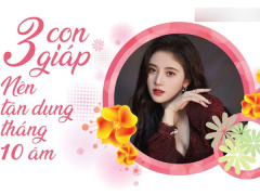 Ảnh bìa bài viết 797143