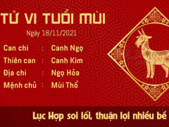 Ảnh bìa bài viết 797194