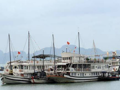 Ảnh bìa bài viết 797293