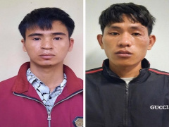 Ảnh bìa bài viết 797489