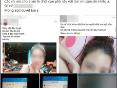 Ảnh bìa bài viết 797487