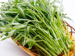 Ảnh bìa bài viết 797774