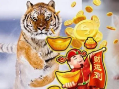 Ảnh bìa bài viết 797681