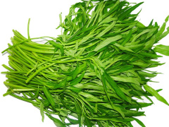 Ảnh bìa bài viết 797850