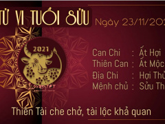 Ảnh bìa bài viết 797948