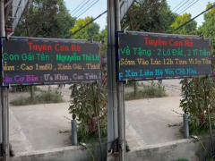 Ảnh bìa bài viết 798163