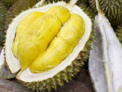 Ảnh bìa bài viết 798401