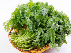 Ảnh bìa bài viết 798365