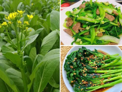 Ảnh bìa bài viết 798619