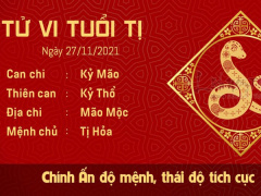 Ảnh bìa bài viết 798575