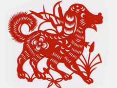 Ảnh bìa bài viết 798726