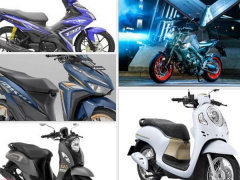 Ảnh bìa bài viết 798754