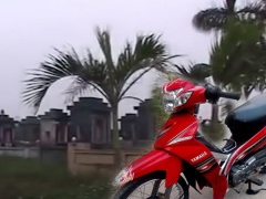 Ảnh bìa bài viết 799137