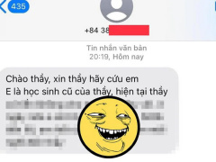 Ảnh bìa bài viết 799338